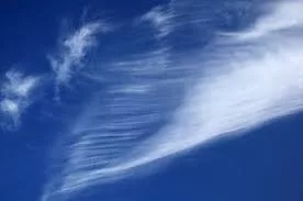 wind